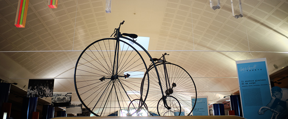 Bici ruote grosse