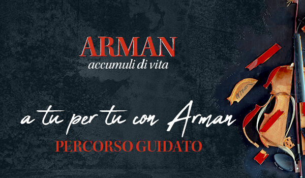 arman-visite-immsito